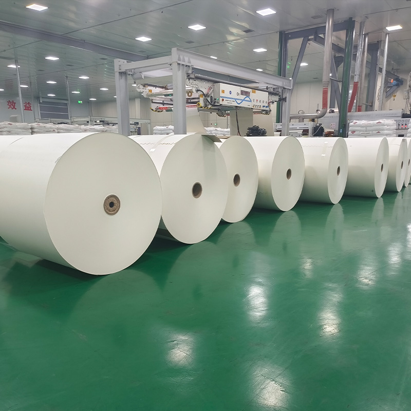 Rotoli di carta CupStock rivestiti in PE